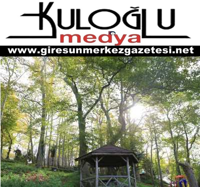 Giresun Kalesi Giresun