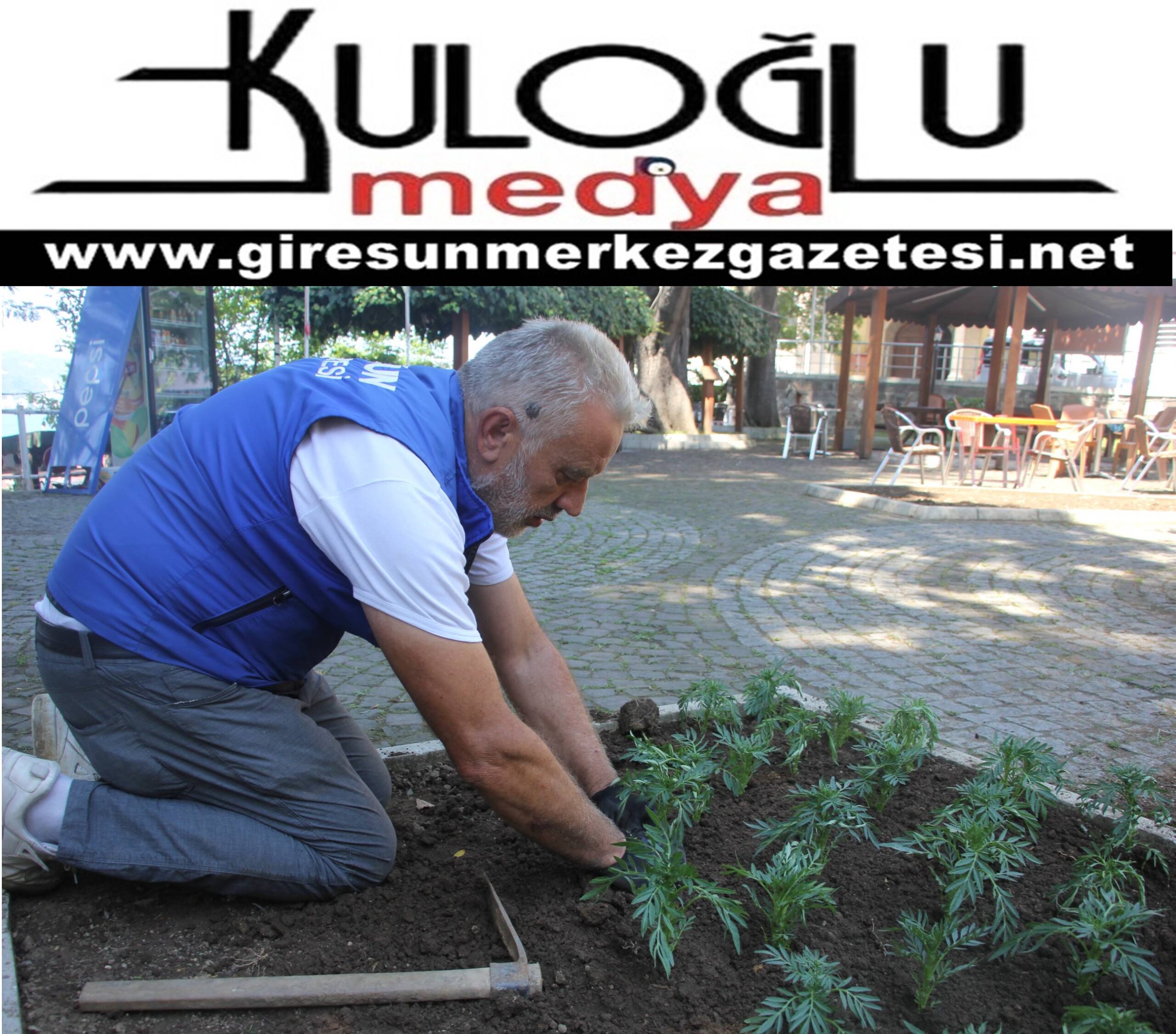 Giresun Belediyesi'nden Yeşil Adımlar