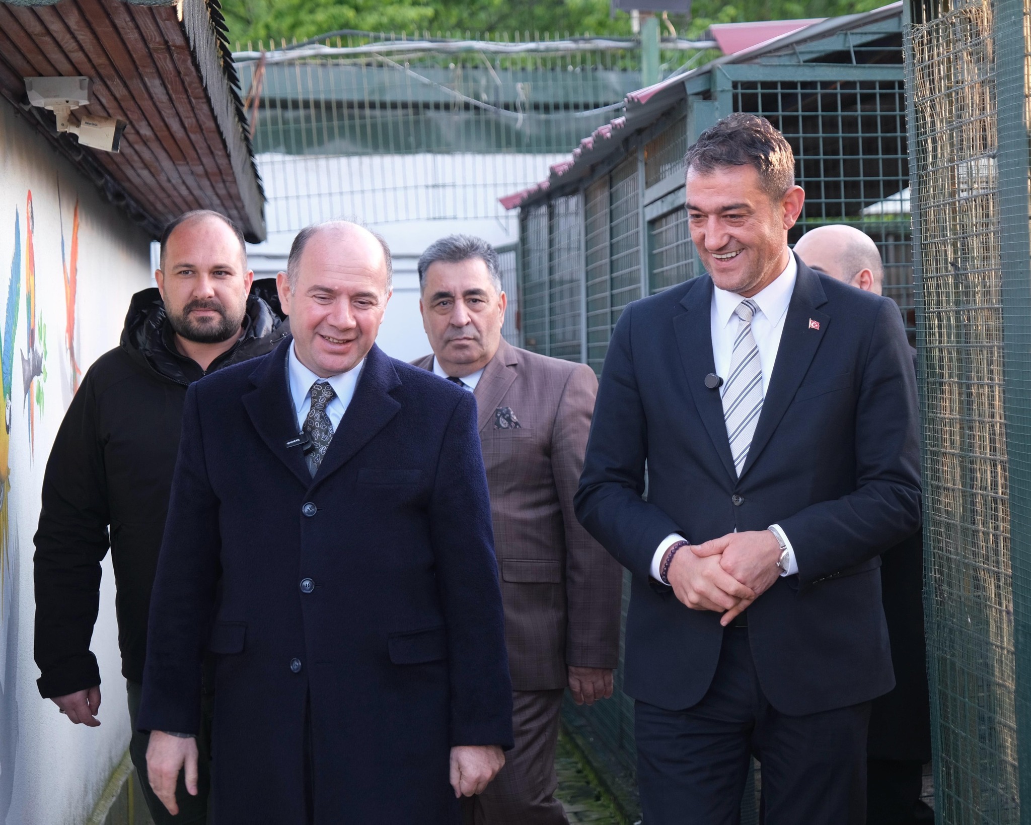 Hayvan Barınağı Hayvanat Bahçesini