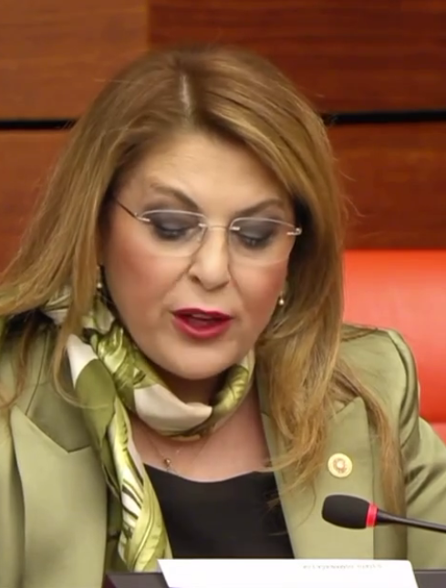 Milletvekili Elvan Işık Gezmiş