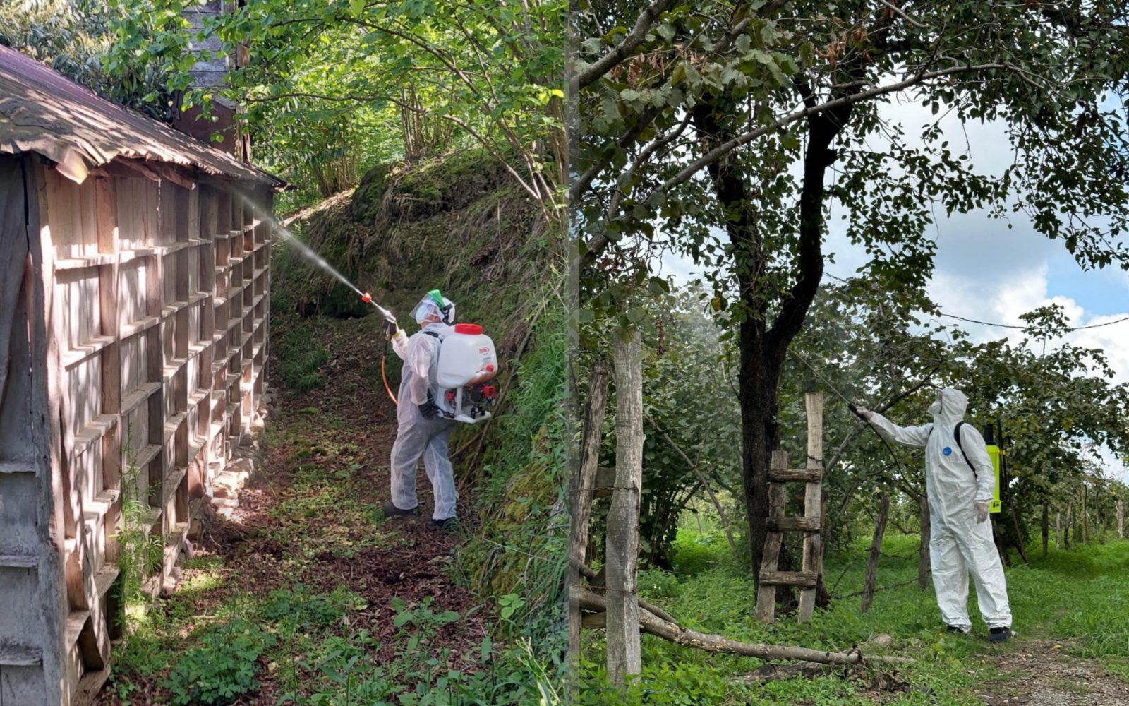 Mehmet Fatih Serdengeçti başkanlığında