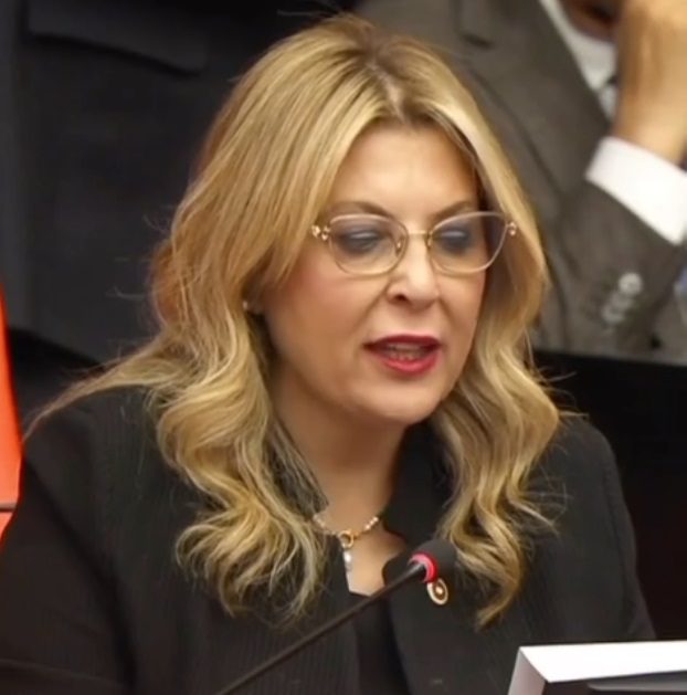 Elvan Işık Gezmiş Havalimanı