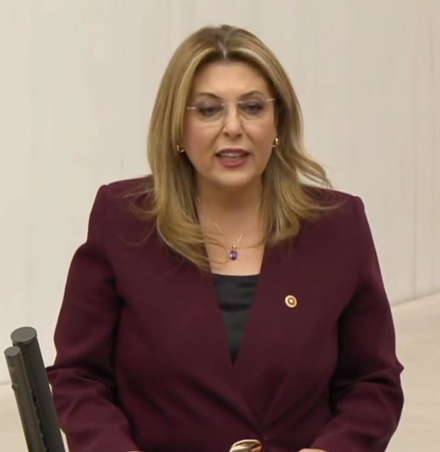 Elvan Işık Gezmiş Meclis