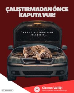 Giresun Valiliği uyarıda bulundu 