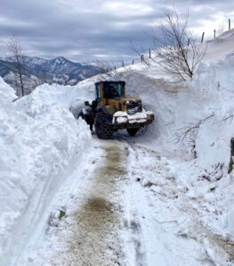 Giresun’un yüksek kesimlerinde kar