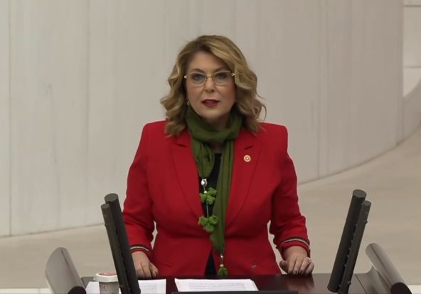 Elvan Işık Gezmiş eleştiri