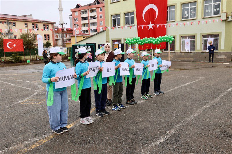 Türkiye’nin Gücü Orman