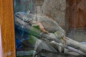 Belediye Hayvanat Bahçesi