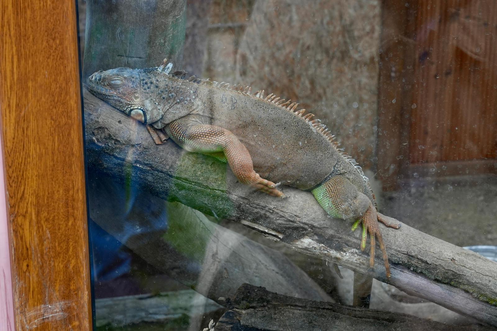 Belediye Hayvanat Bahçesi