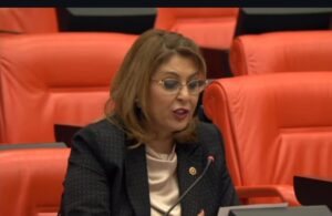 Elvan Işık Gezmiş Tema