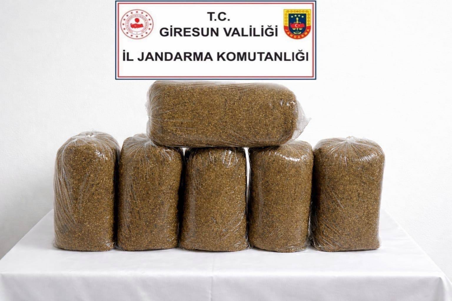 Giresun  Jandarma Komutanlığı ekipleri