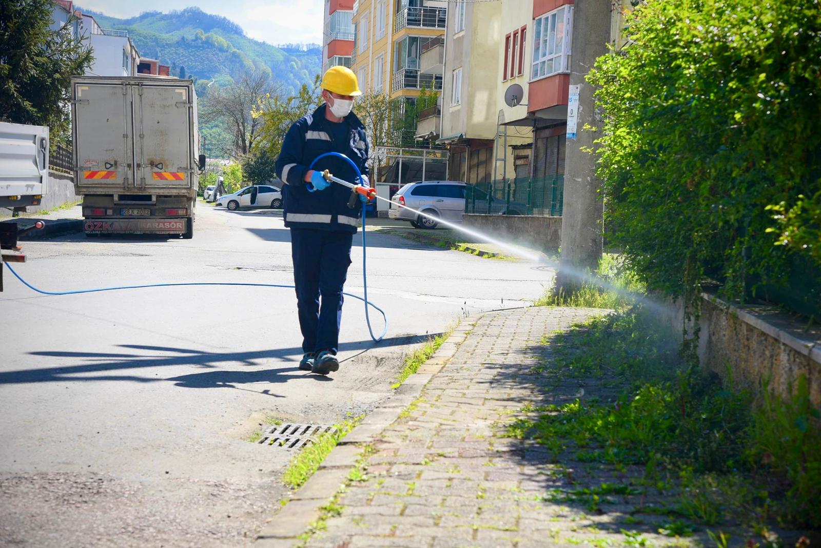 Giresun Belediyesi Veteriner İşleri