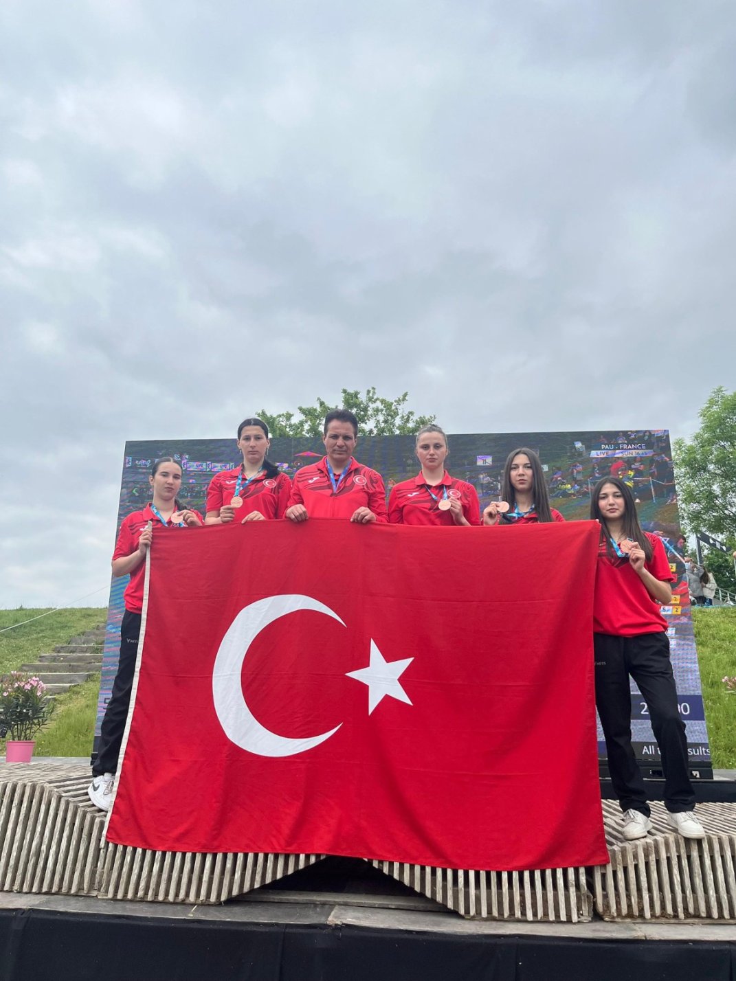 Cengiz Sarıbaş Mesleki ve 