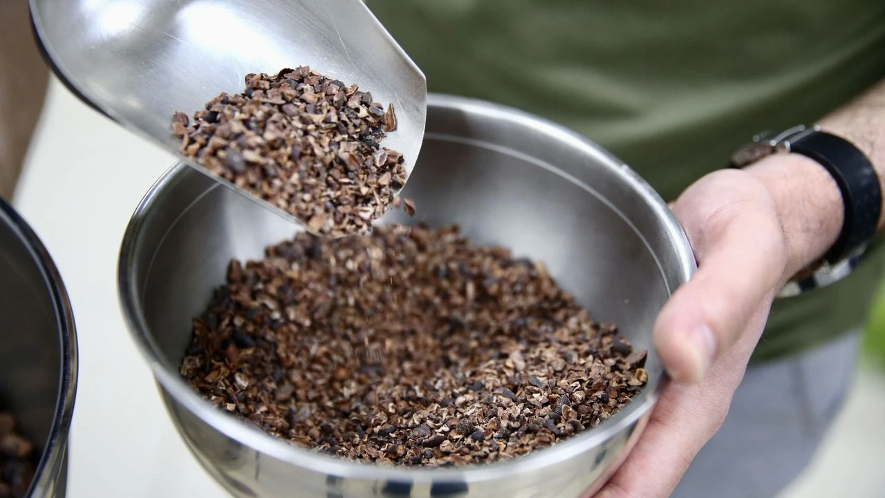 Üç yazılım mühendisi Giresun