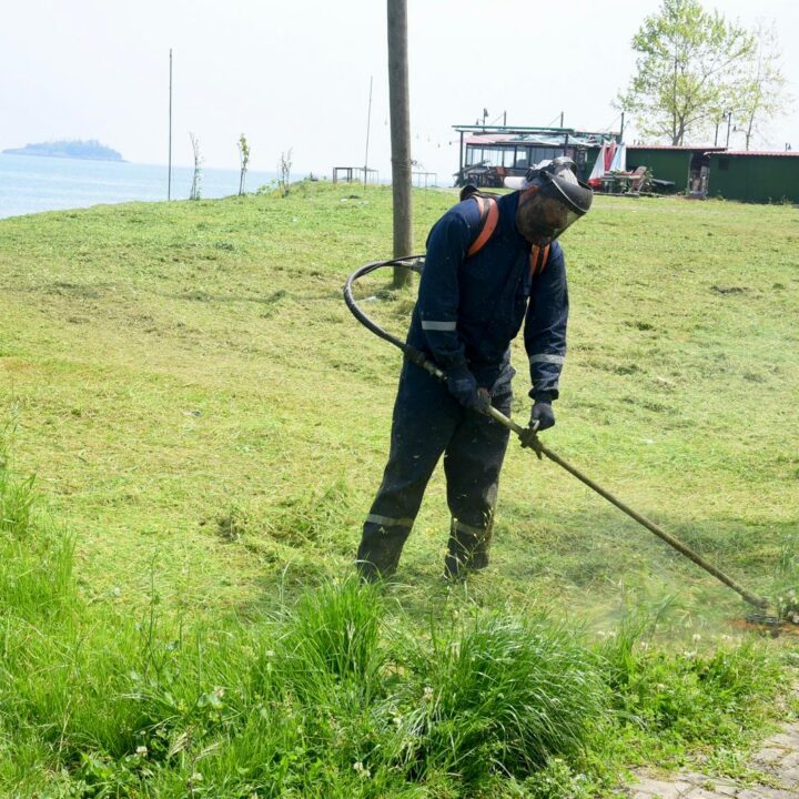 GİRESUN BELEDİYESİ YEŞİL ALANLARDA BAKIM VE DÜZENLEMEYİ SÜRDÜRÜYOR