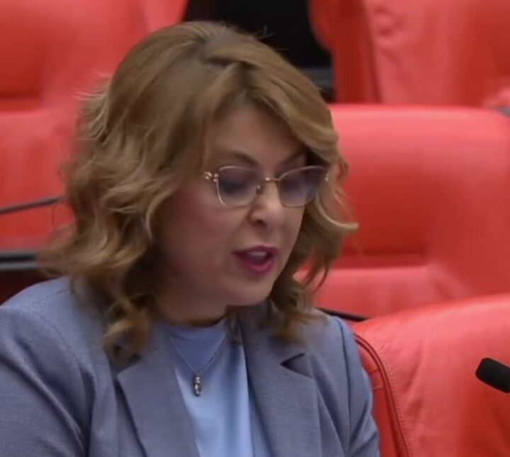 ELVAN IŞIK GEZMİŞ: SEKÜ’DE YAKILAN DİRENİŞ ATEŞİ, YALNIZCA TİREBOLU’NUN DEĞİL, KARADENİZ’İN VİCDANIDIR