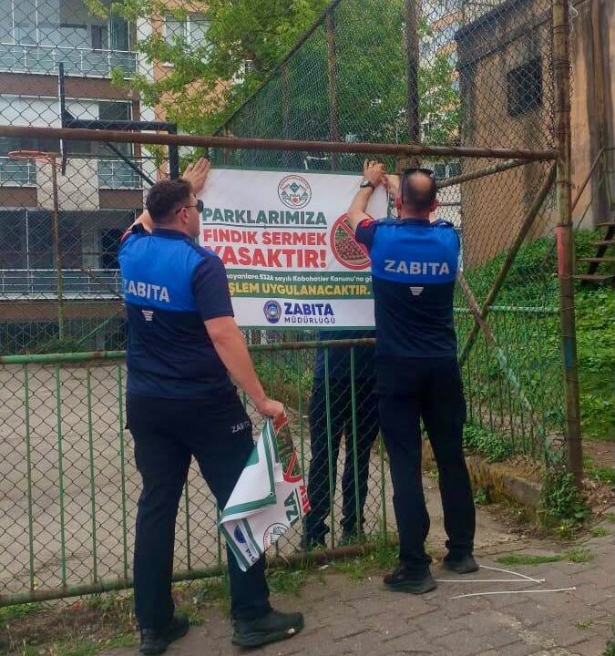 PARKLARDA FINDIK SERENLERE CEZA! ZABITA DENETİMLERİ BAŞLADI