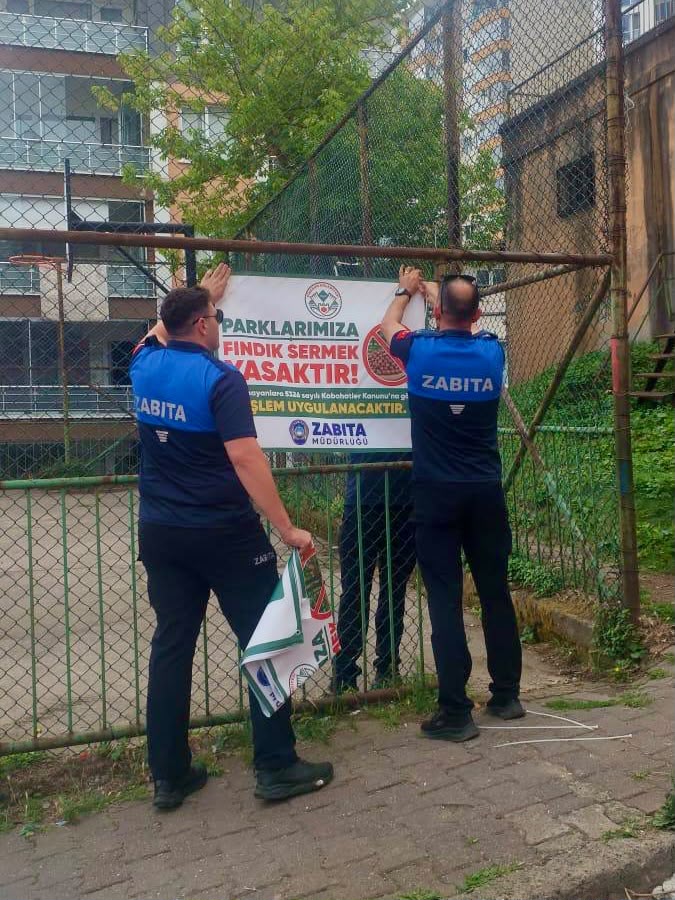 PARKLARDA FINDIK SERENLERE CEZA! ZABITA DENETİMLERİ BAŞLADI