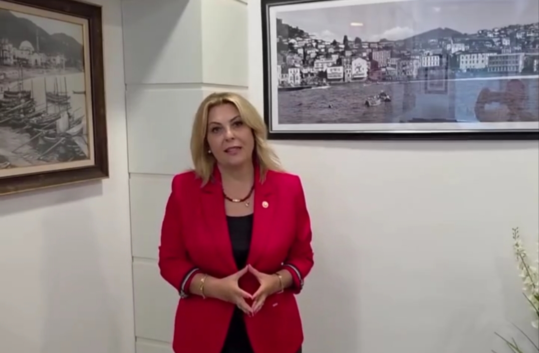 YENİ Parti Elvan Gezmiş