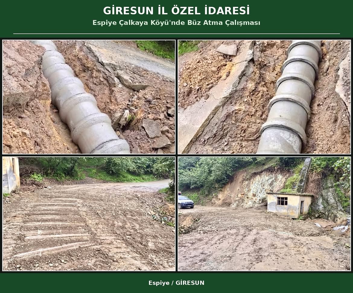 Espiye ilçesi Çalkaya köyü