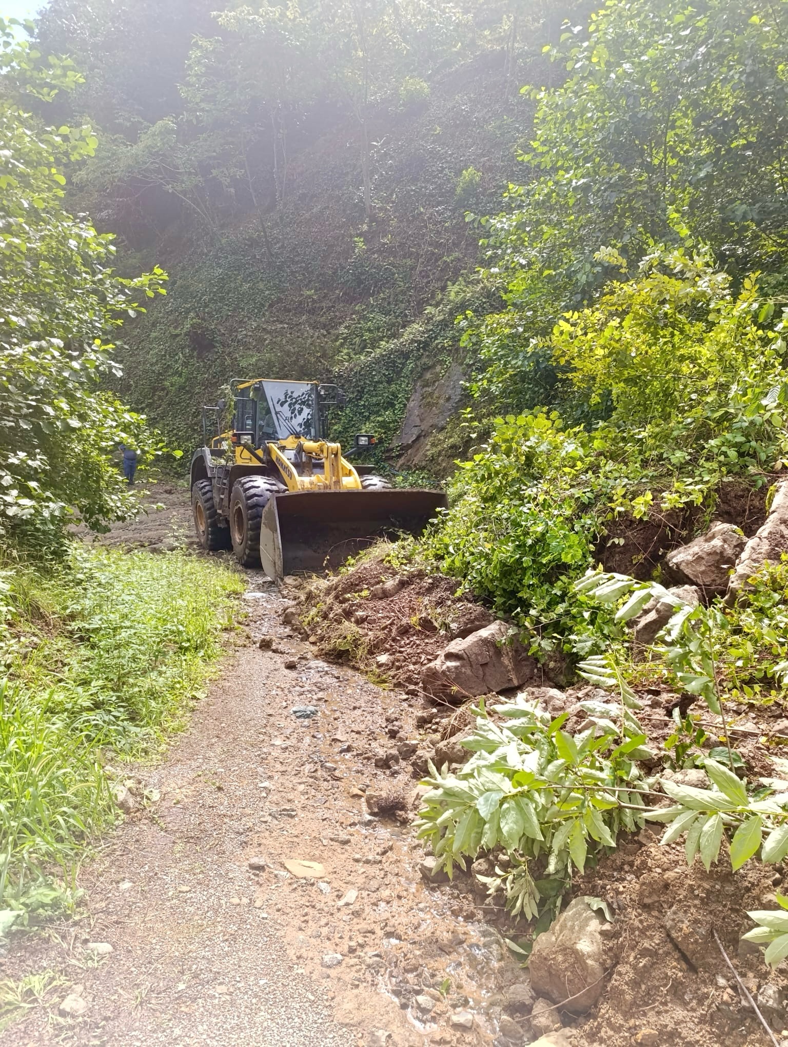 Giresun’un Yağlıdere Yeniyazlık köyü